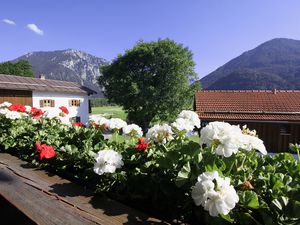 18777579-Ferienhaus-4-Ruhpolding-300x225-2