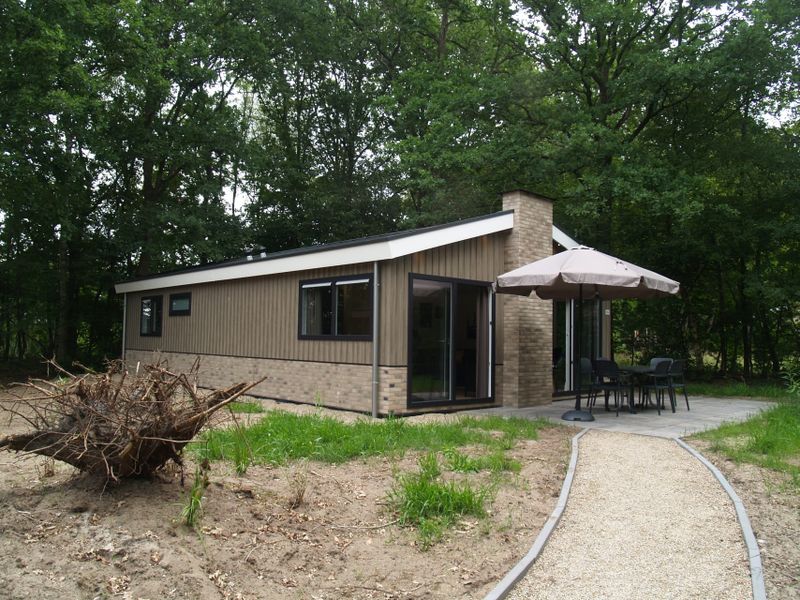 23987919-Ferienhaus-6-Ruinen-800x600-0