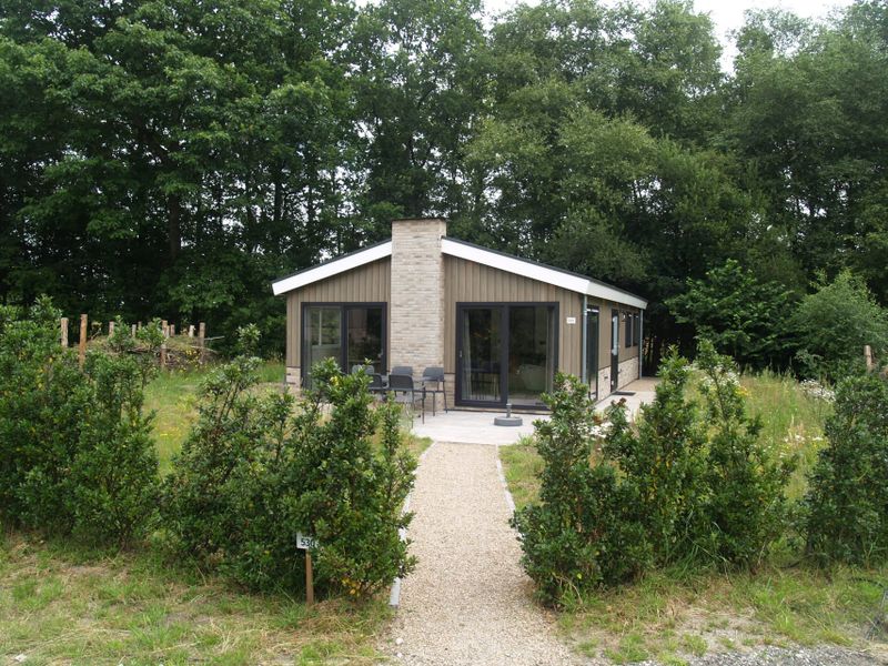 23987919-Ferienhaus-6-Ruinen-800x600-1