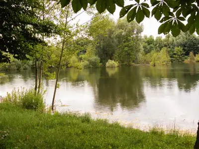Landschaft