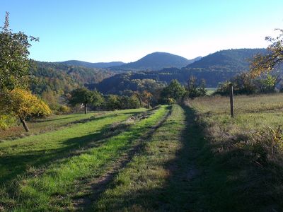 Spaziergang in der Umgebung