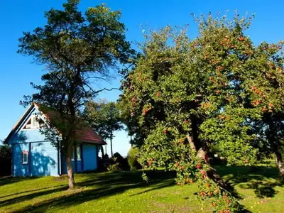 Ferienhaus für 4 Personen (65 m²) in Neuendorf Heide 2/10