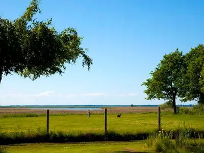 Ferienhaus für 4 Personen (72 m²) in Neuendorf Heide 8/10