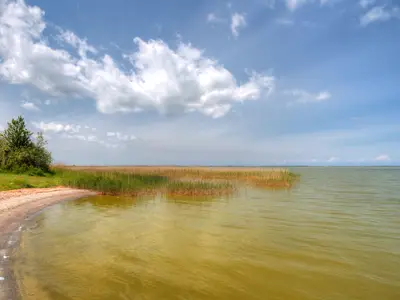 Ferienhaus für 6 Personen (85 m²) in Saal 3/10