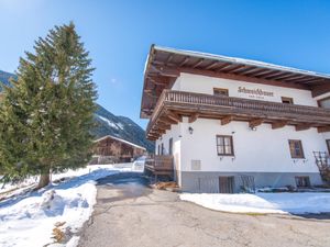 23895306-Ferienhaus-17-Saalbach Hinterglemm-300x225-1