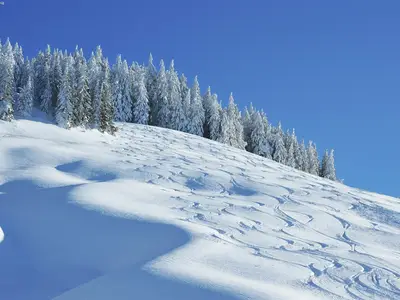 AreaWinter1KM