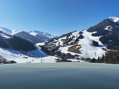 Ferienhaus für 10 Personen (60 m²) in Saalbach-Hinterglemm 9/10