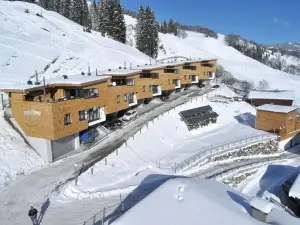 Ferienhaus für 10 Personen (120 m²) in Hinterglemm