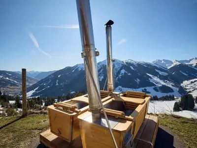 Ferienhaus für 10 Personen (64 m²) in Hinterglemm 5/10