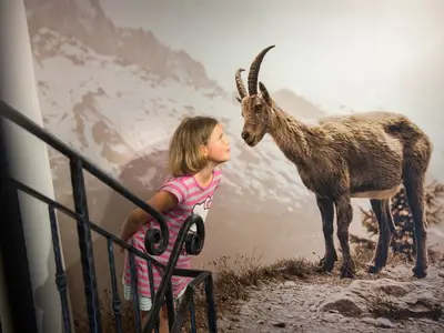 Ferienhaus für 12 Personen (240 m²) in Hinterglemm 8/10