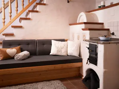 Ferienhaus für 8 Personen (100 m²) in Hinterglemm 9/10