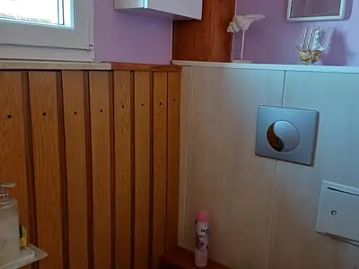 Ferienhaus für 4 Personen (70 m²) in Saalburg-Ebersdorf 9/10