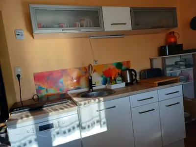 Ferienhaus für 4 Personen (70 m²) in Saalburg-Ebersdorf 3/10