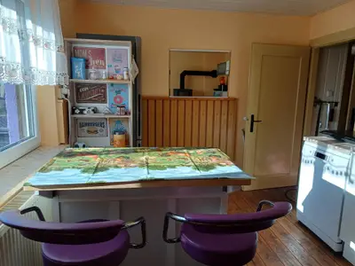 Ferienhaus für 4 Personen (70 m²) in Saalburg-Ebersdorf 4/10