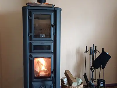 Ferienhaus für 4 Personen (70 m²) in Saalburg-Ebersdorf 6/10