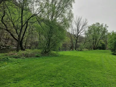 Impressionen - Saaleufer