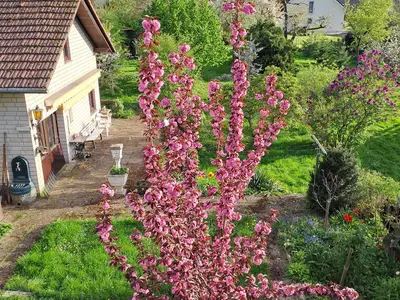 Ferienhaus Ma Cabane Saarburg (06)