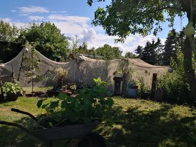 Ferienhaus für 13 Personen in Sagard 9/10