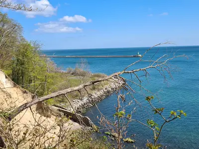Ferienhaus für 4 Personen (60 m²) in Sagard 8/10