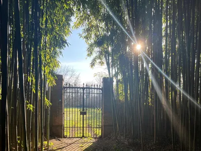 outside