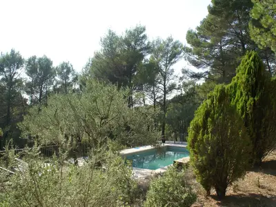 ViewSummer