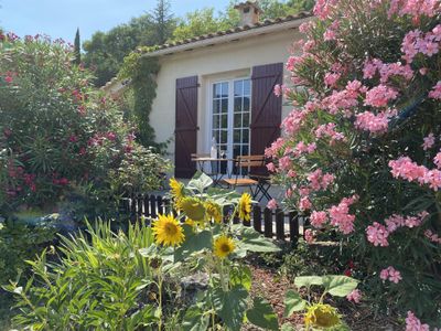 Terrasse entourée de fleurs