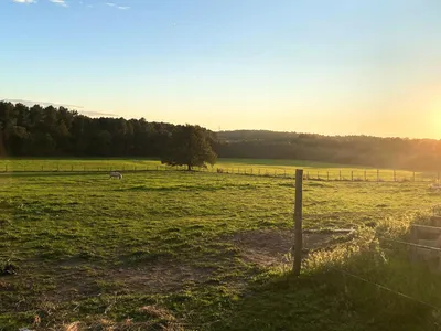 outside
