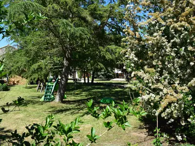 GardenSummer