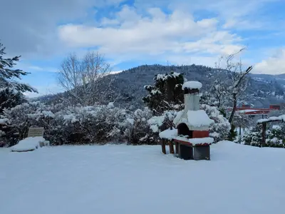 GardenWinter