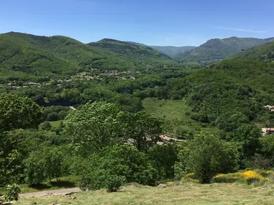 ViewSummer