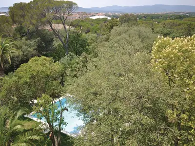 view-from-room