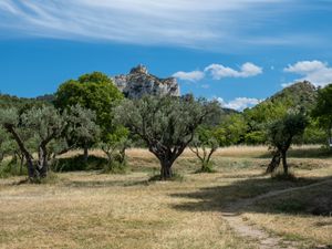 23838921-Ferienhaus-6-Saint-Rémy-de-Provence-300x225-3