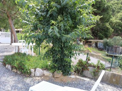 Garten mit Blick auf den Spielplatz