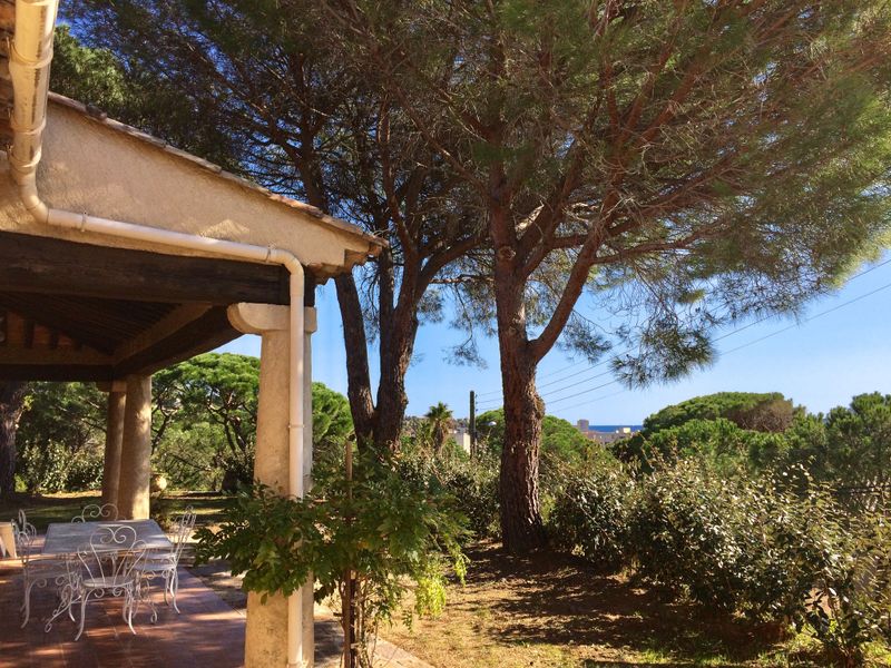 23841651-Ferienhaus-8-Sainte-Maxime-800x600-0