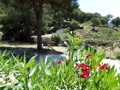 Bild 21