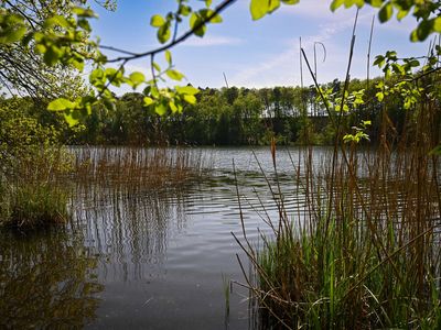 Landschaft