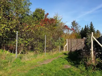 Ferienhaus für 6 Personen (100 m²) in Sallgast 3/10