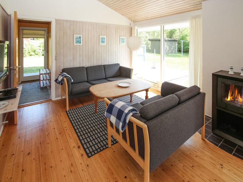 23759619-Ferienhaus-6-Samsø-800x600-1