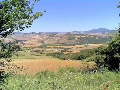 ViewSummer