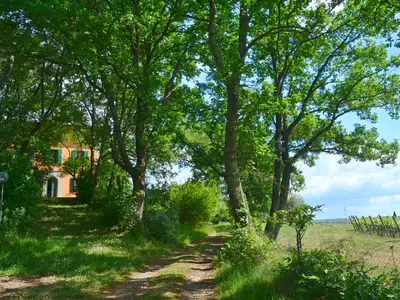 GardenSummer
