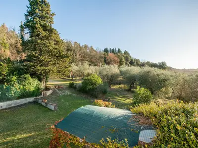 ViewSummer