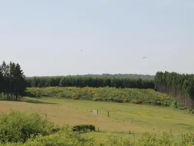 AreaSummer20KM