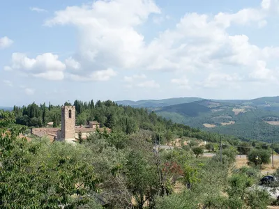 ViewSummer