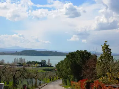 ViewSummer