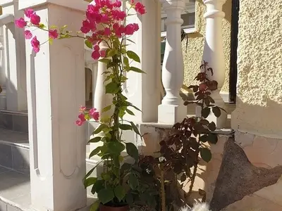 Ferienhaus für 4 Personen (65 m²) in San Fulgencio 6/10