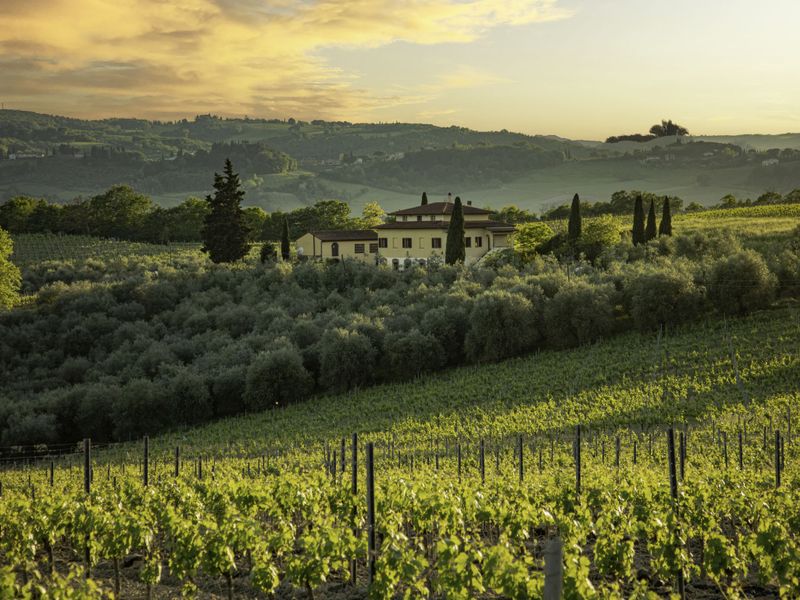 23850565-Ferienhaus-10-San Gimignano-800x600-0