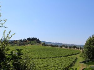 23840695-Ferienhaus-10-San Gimignano-300x225-5