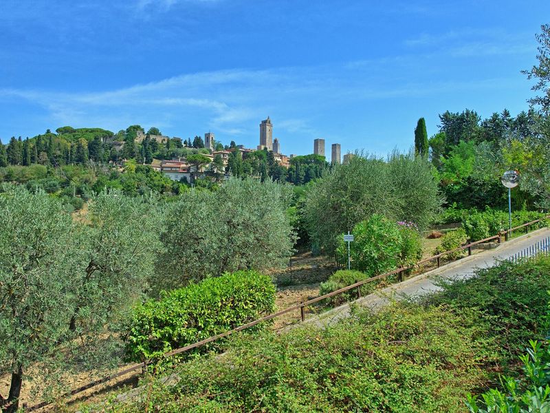 23894525-Ferienhaus-2-San Gimignano-800x600-1