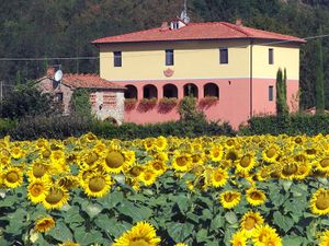 23839037-Ferienhaus-4-San Giustino Valdarno-300x225-5