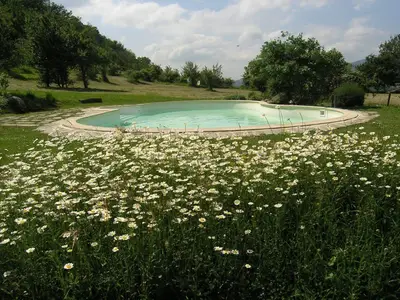 PoolOfHouse